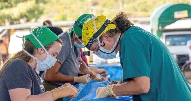 Bethany doing surgery in Mexico