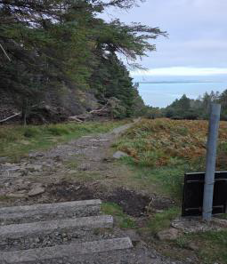 Photo of ancient stone steps