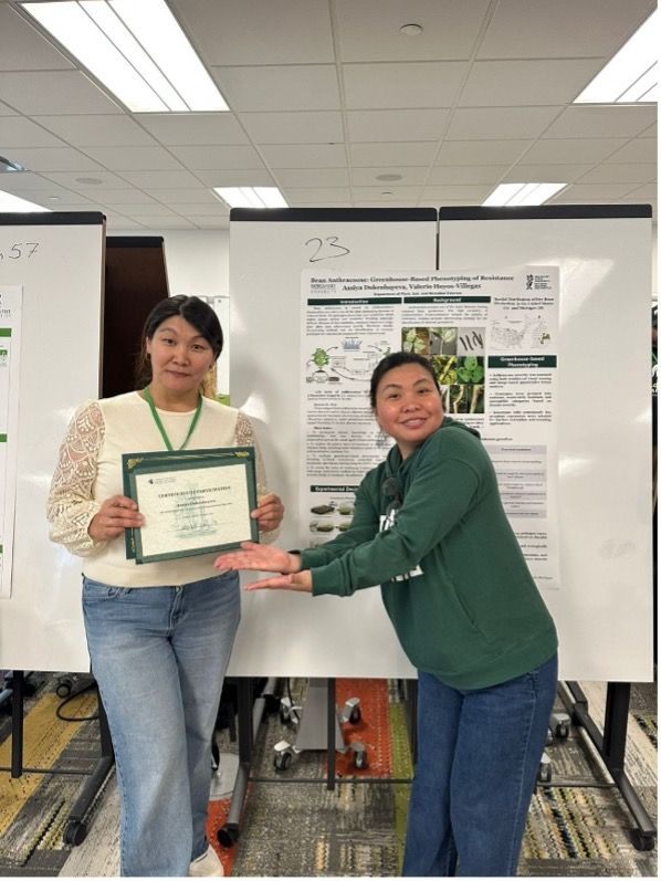 Dukenbayeva and another person in front of a research poster about bean anthracnose, with one holding a certificate and the other presenting it.