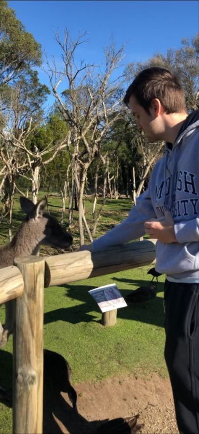 Cooper feeding a kangaroo in Australia