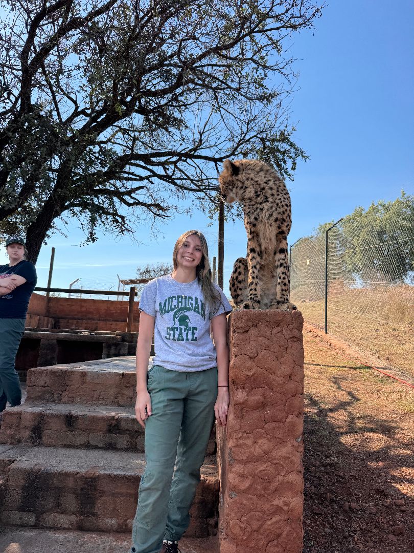 Kerrigan wearing an MSU tee shirt standing next to a cheetah standing on a wall