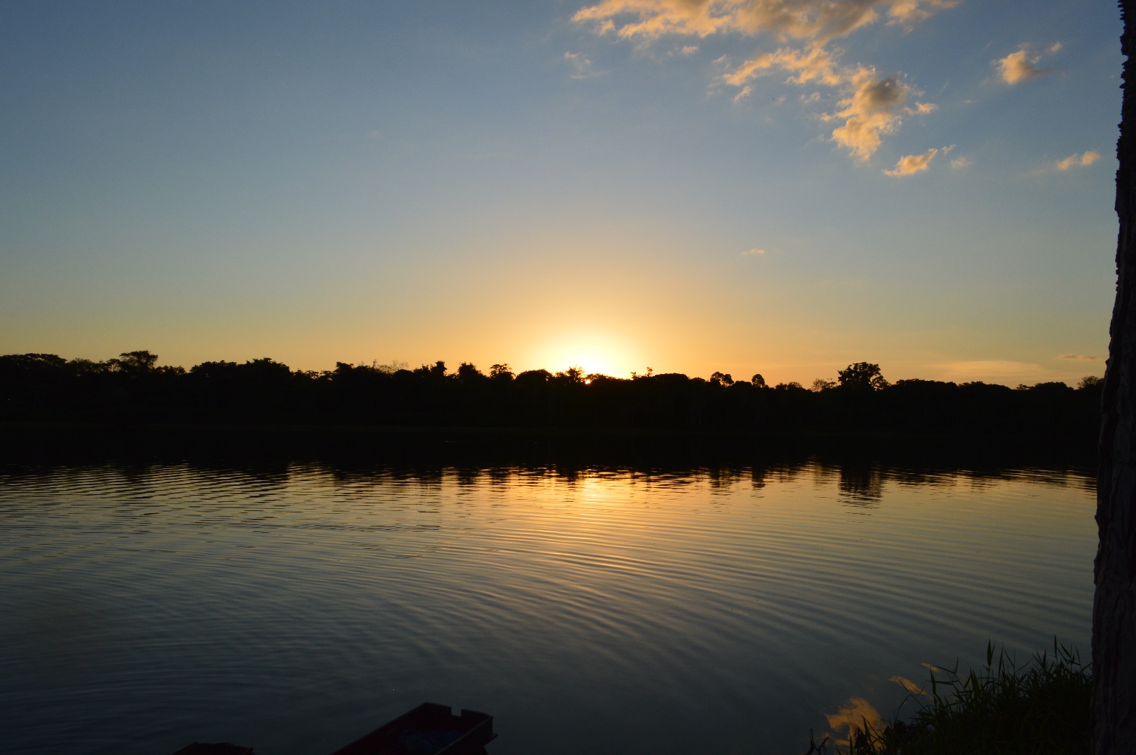 Sunset view in the Brazilian Amazon. Photo: Laura Castro-Diaz