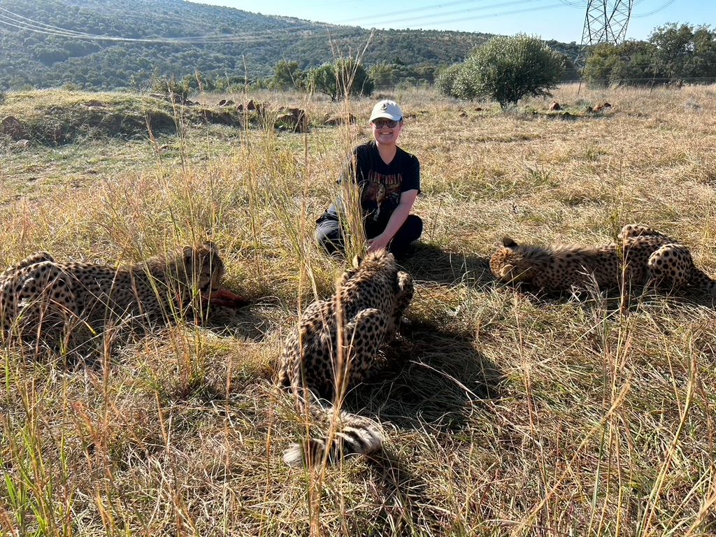 Chloe in the savanah with 3 cheetahs