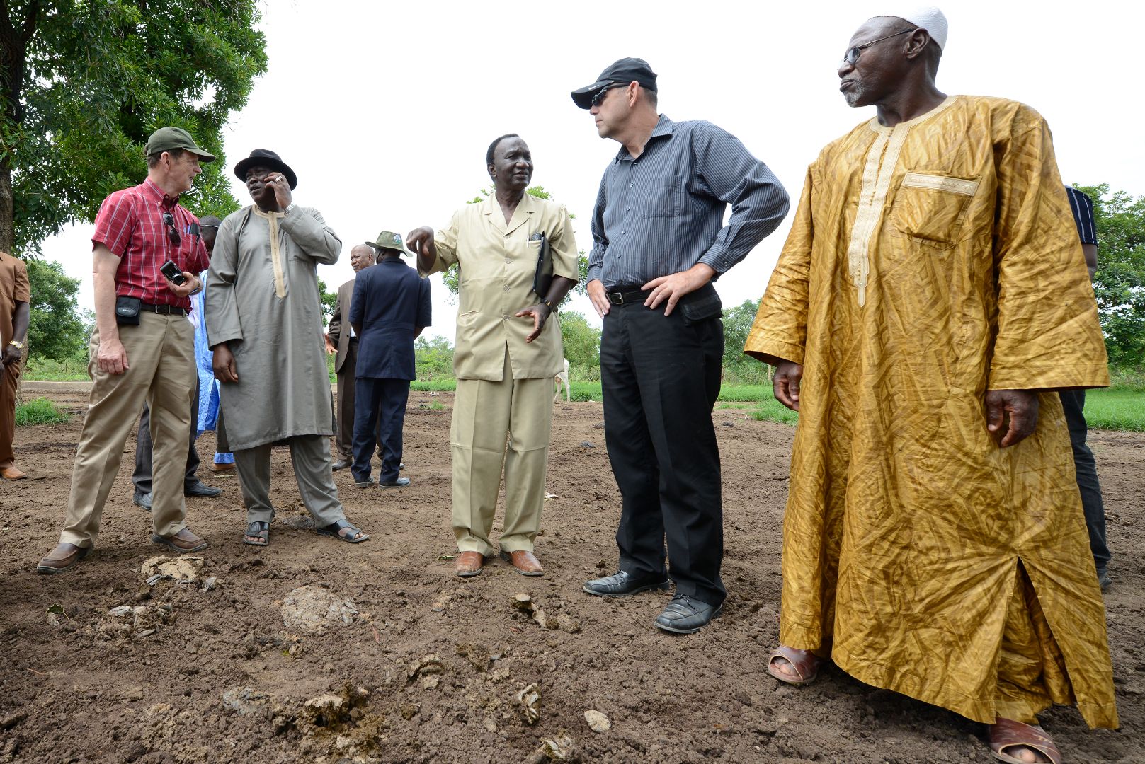 a group of men converse outside on a farm