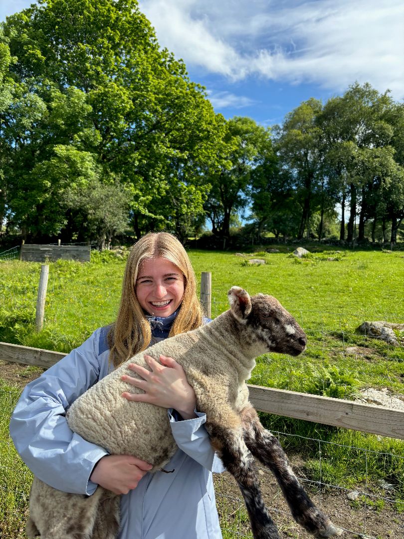 Katie holding a sheep in Ireland