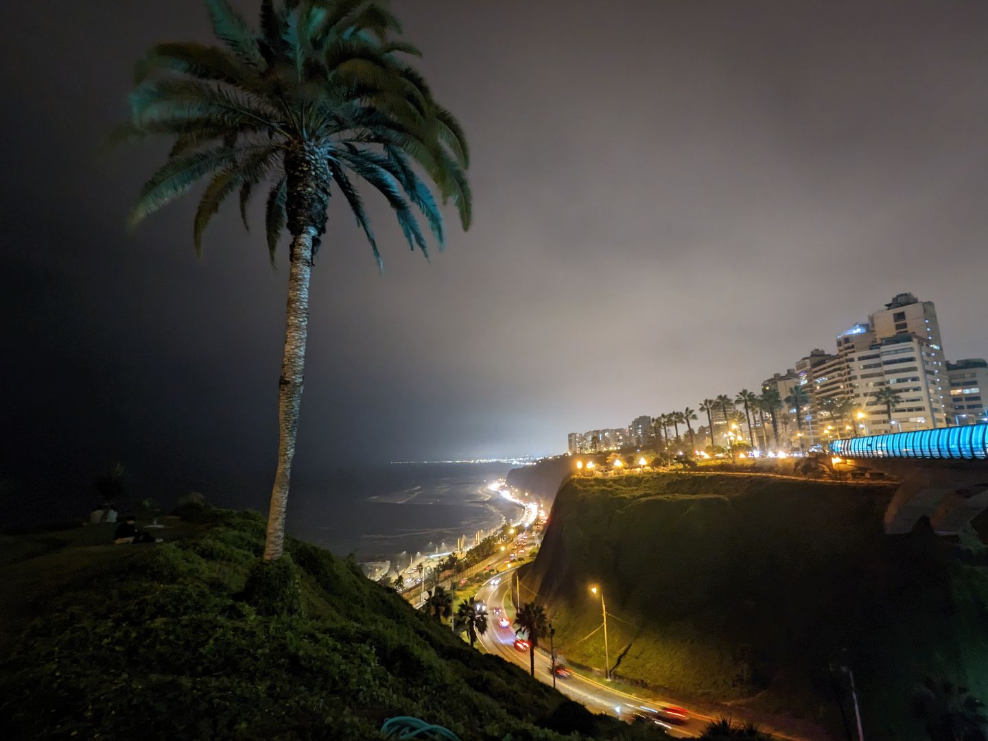 Night scence with palm tree and glowing cityscape in the background