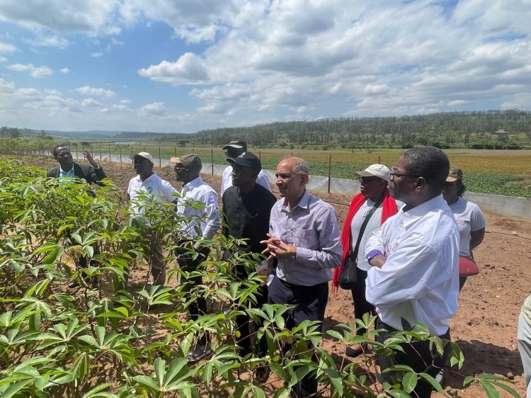 Karim Maredia working with collaborators in Rwanda