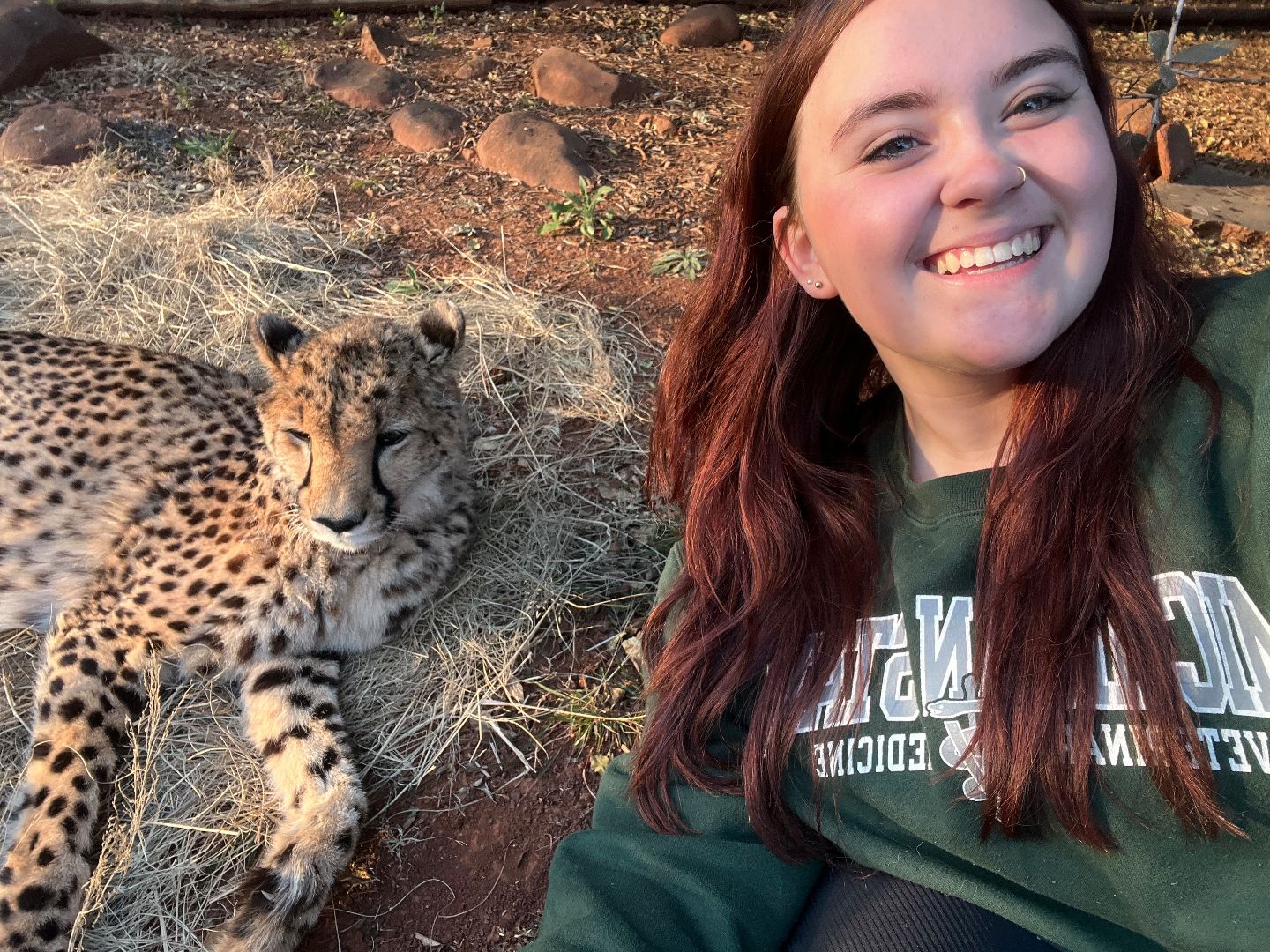 Kendall wearing an MSU sweatshirt taking a selfie with a cheetah laying in the grass
