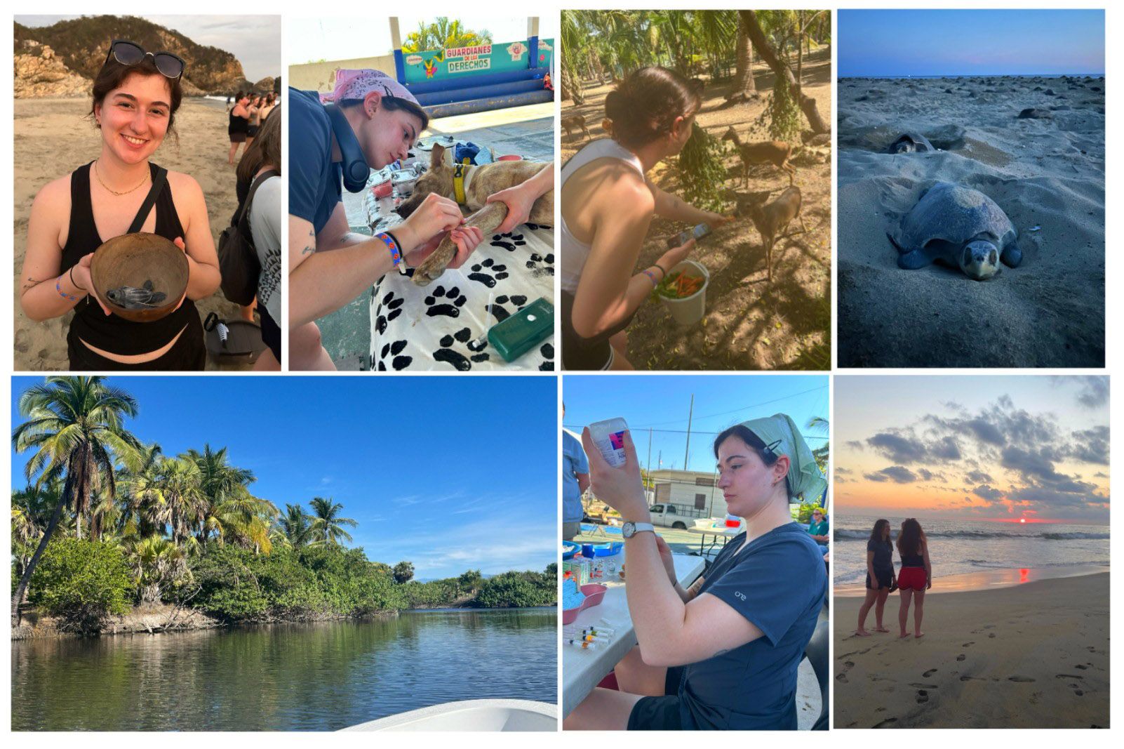 Collage of seven different photos of Paige's time in Mexico