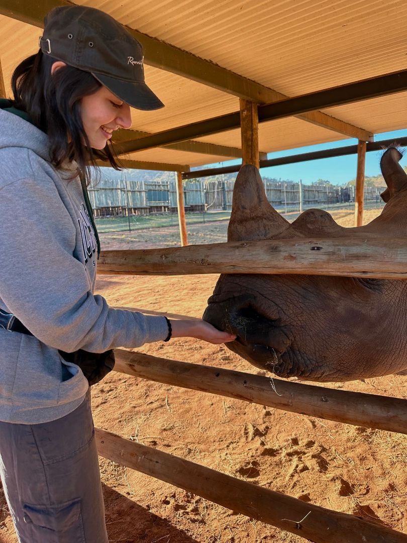 Maria feeding a Rhino in South Africa