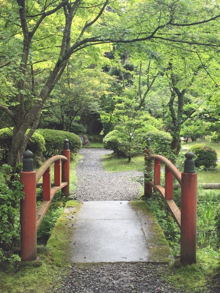 a small red bridge on a trail in a lush garden