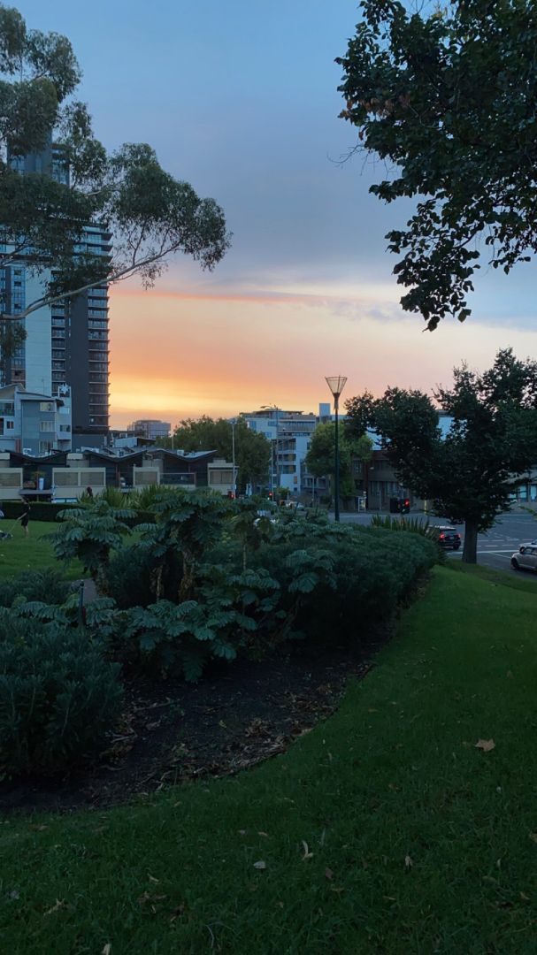 Deakin University campus at sunset