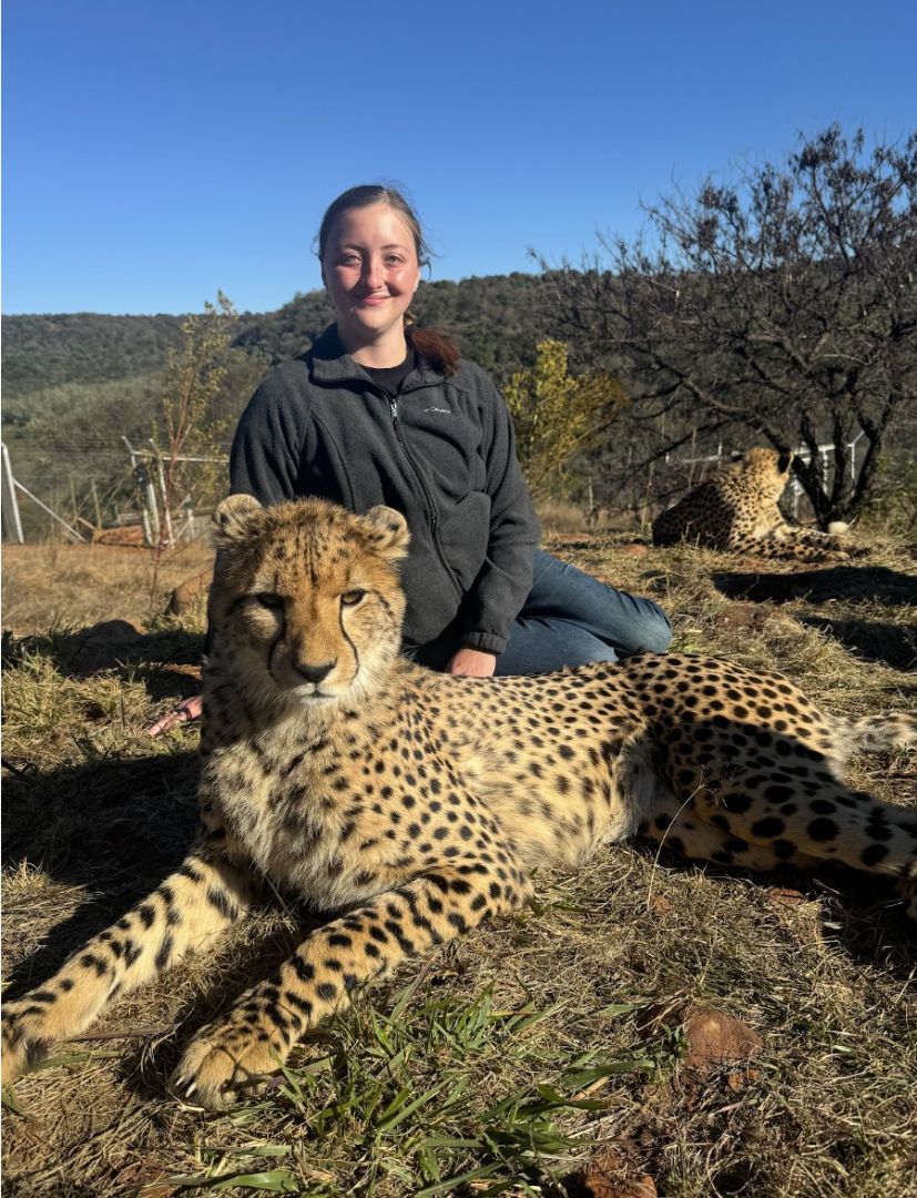 Madisyn sitting next to a cheetah who is lying on the ground