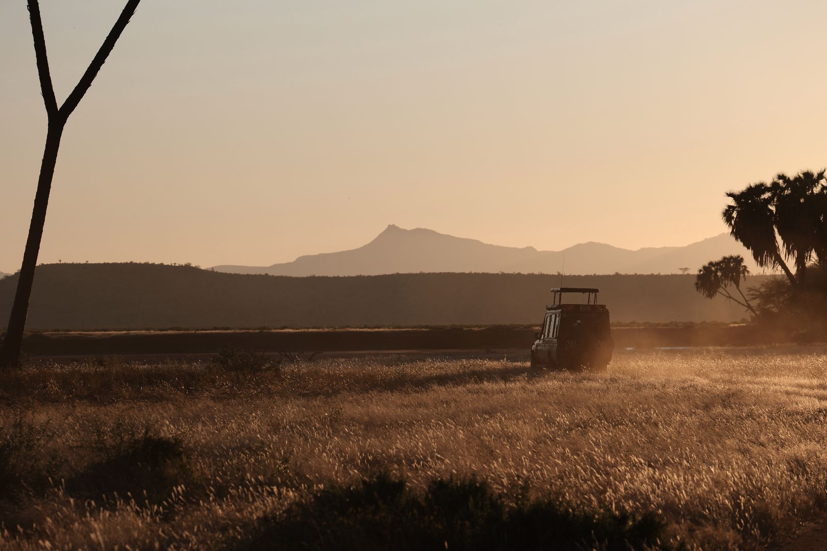 Jeep at sunset or sunrise in field in Kenya