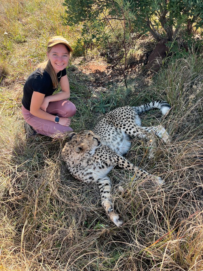 Alayna kneeling next to a cheetah in the grass