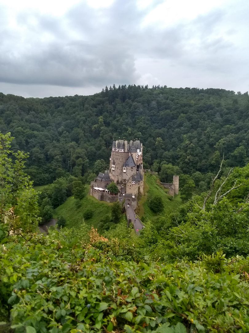 Castle among trees in Germany