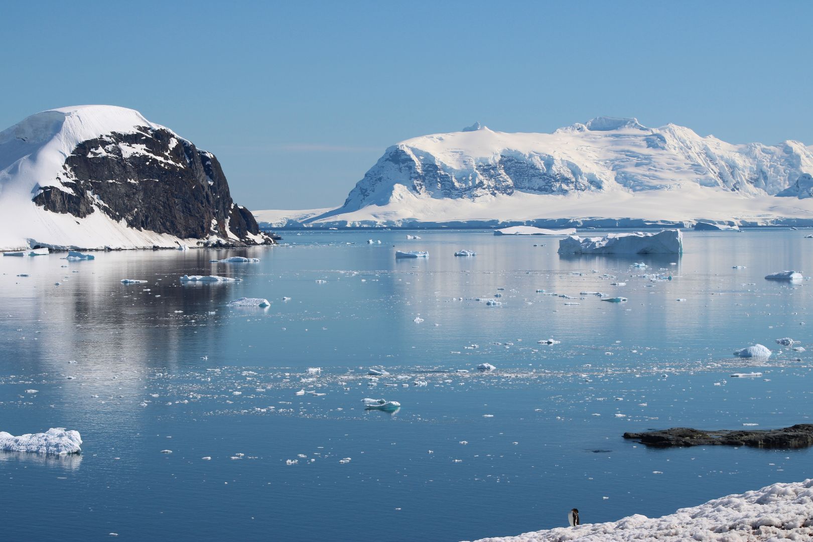 Icebergs in Antarctica