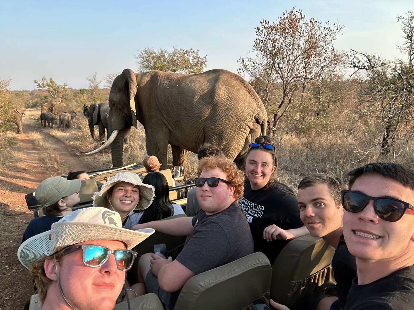 Group of MSU students in jeep following an elephant