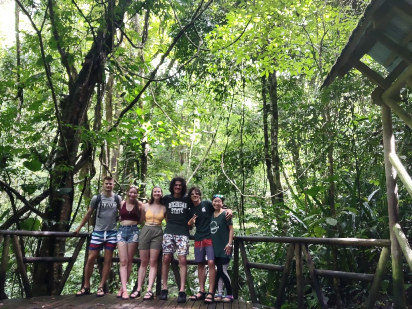 Group of MSU students in Costa Rican rainforest