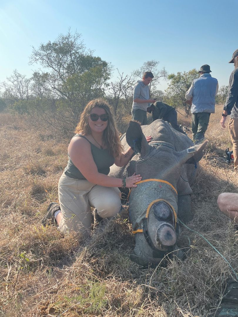 Kenna kneeling down next to captured rhino