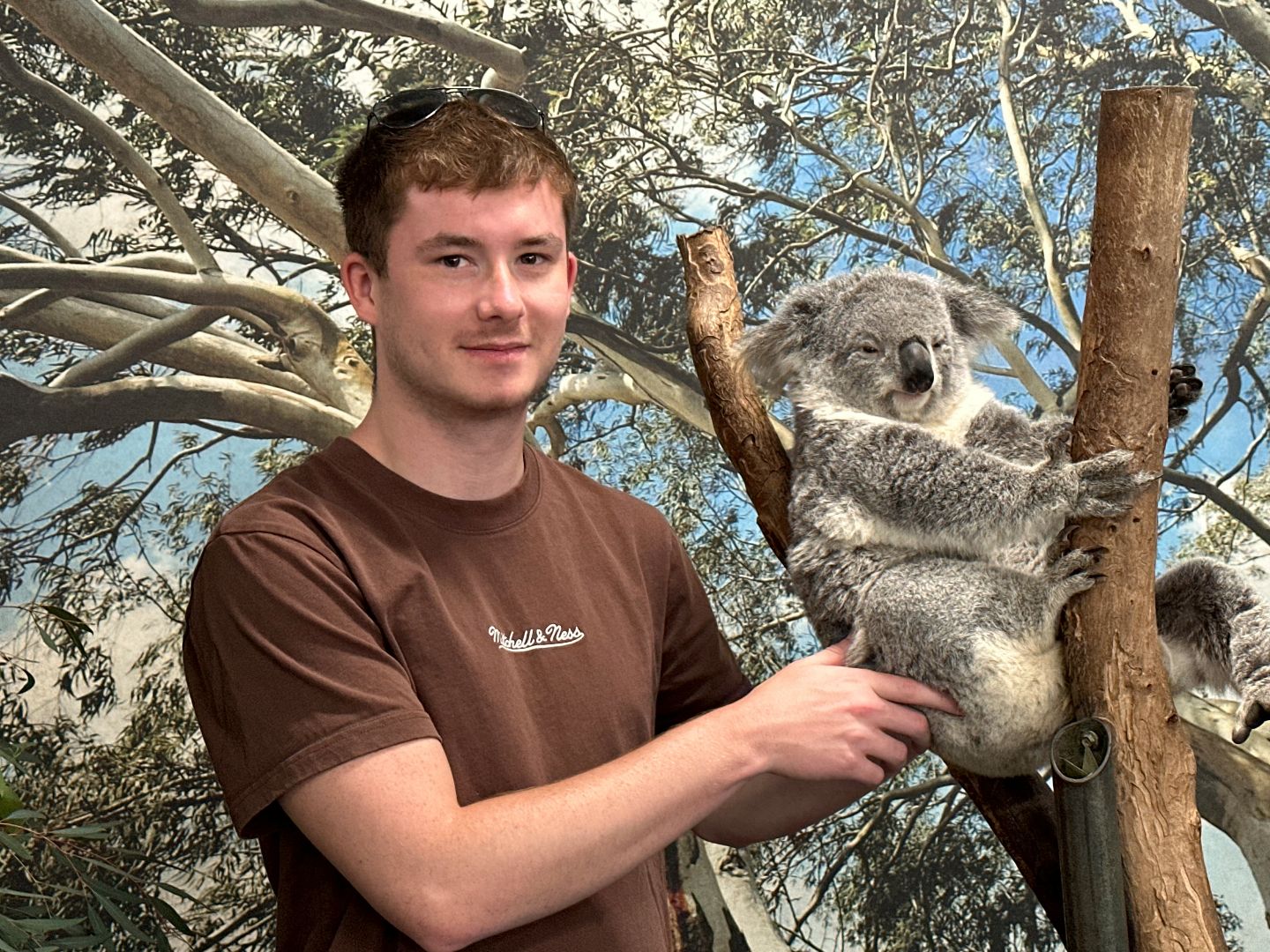 David standing next to a koala in a tree