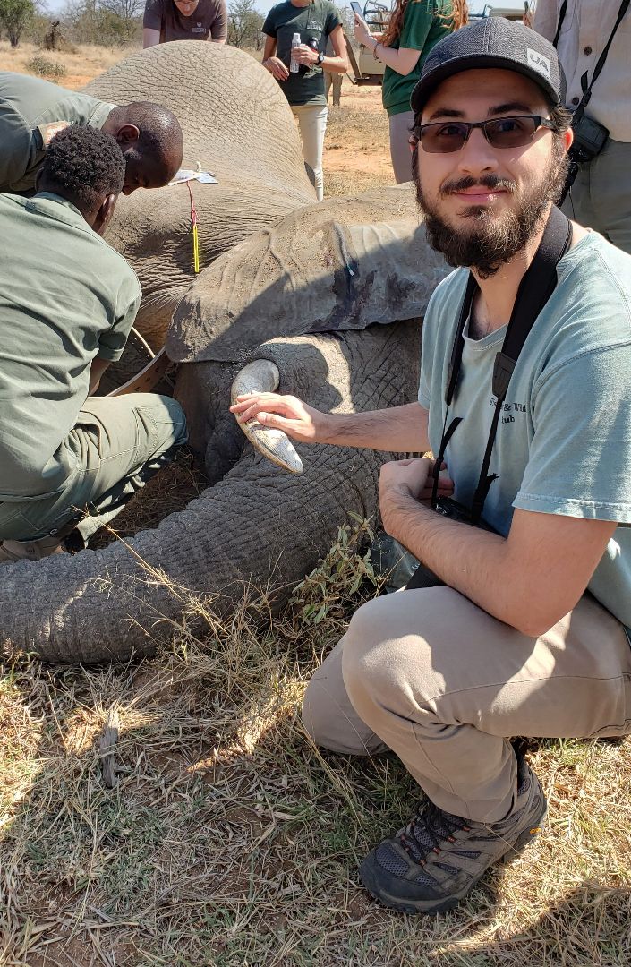 Walid squatting near elephant on the ground in South Africa