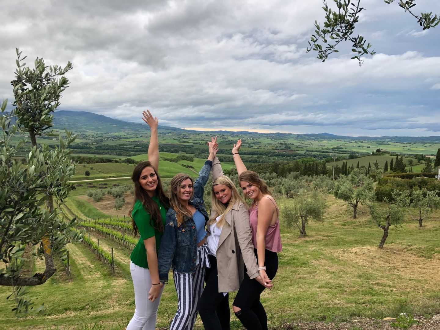 Group of students in European vineyard.