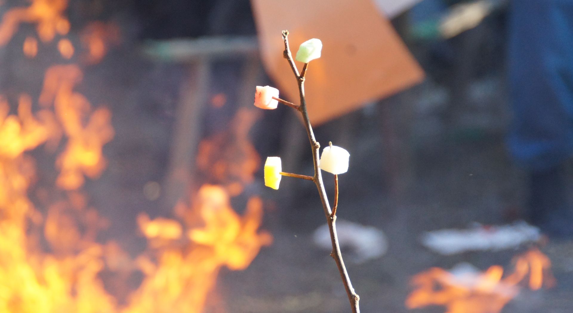 chunks of mochi on a stick in front of a flame