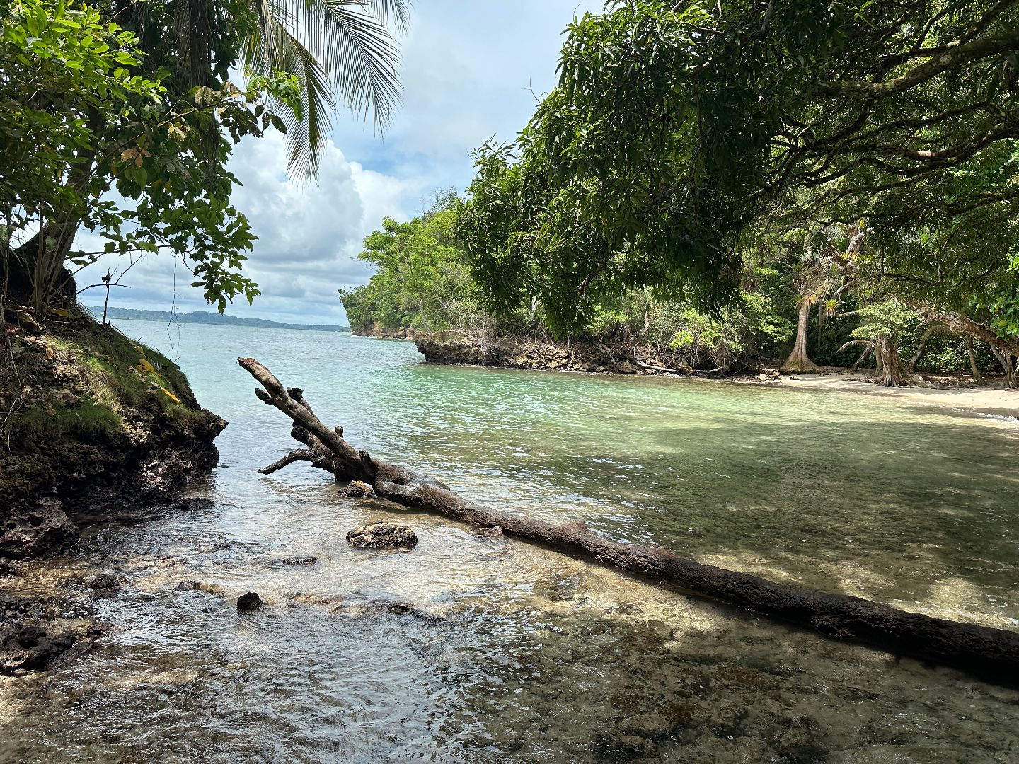 Coastal inlet in Panama