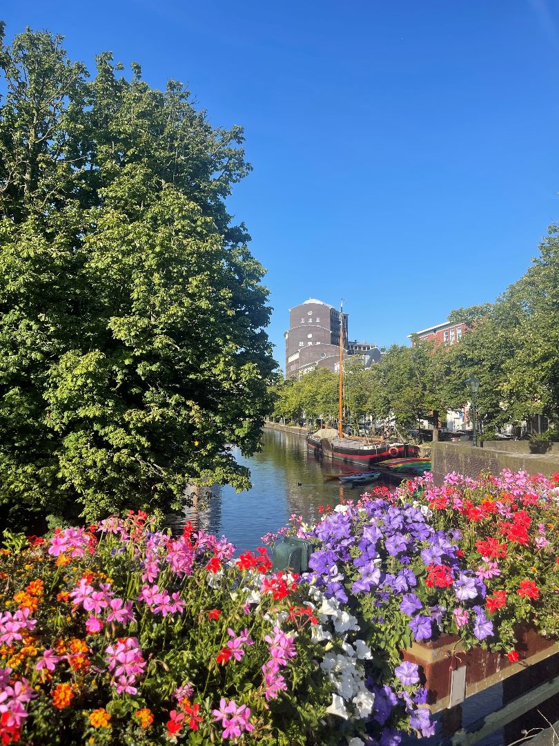 Colorful flowers along a canal in Belgium