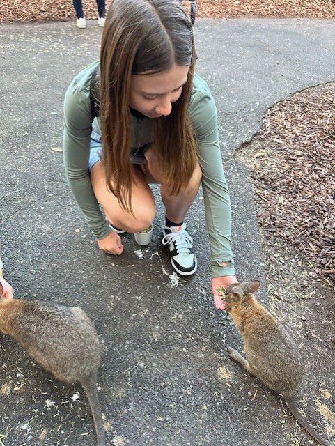 Annika feeding wallaby