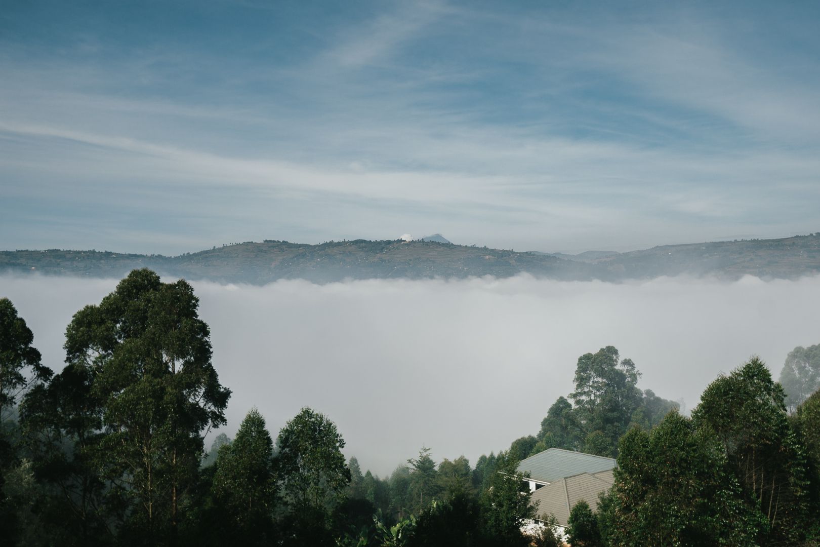 Heavy mist hangs between a mountaintop and large trees.