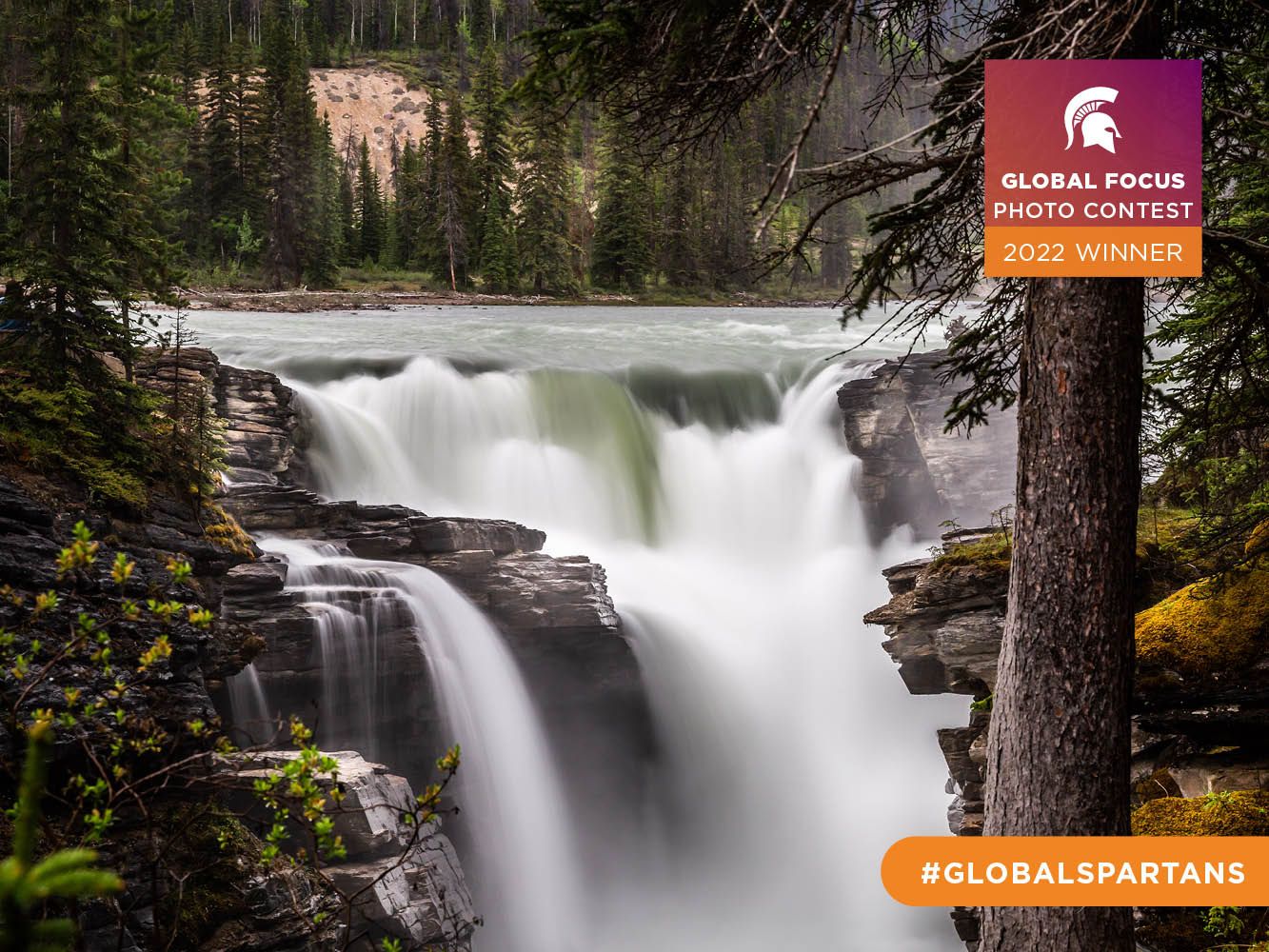 In a forest of coniferous trees, a large waterfall pours into a basin of exposed stone.