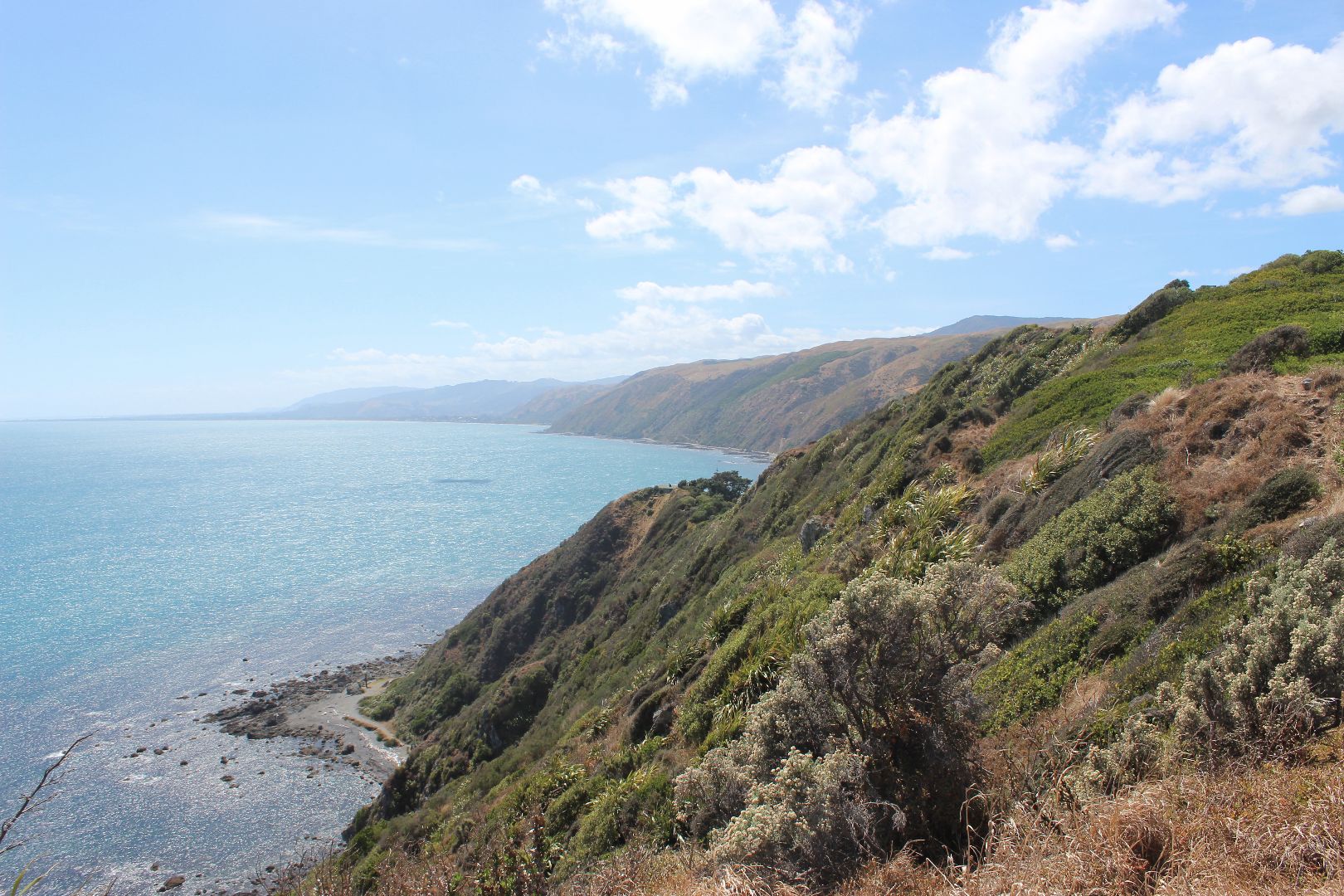 Mountainous coastline in New Zealand