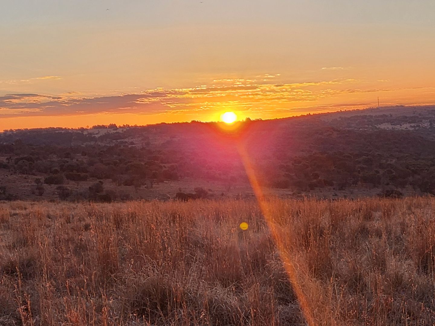 Beautiful sunrise/sunset on the savannah
