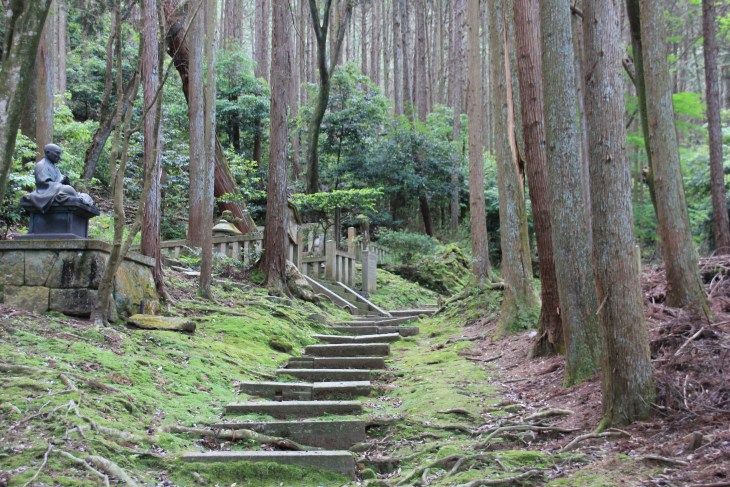 a small path up a moss covered hill in a forest