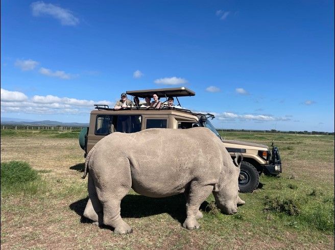 Students on safari bus seeing rhino