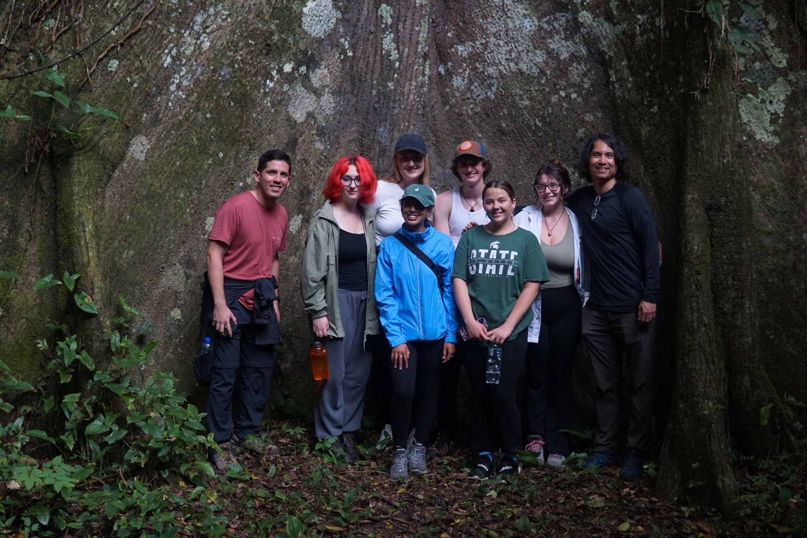 Group of students posing for a photo in the rainforest among very large trees