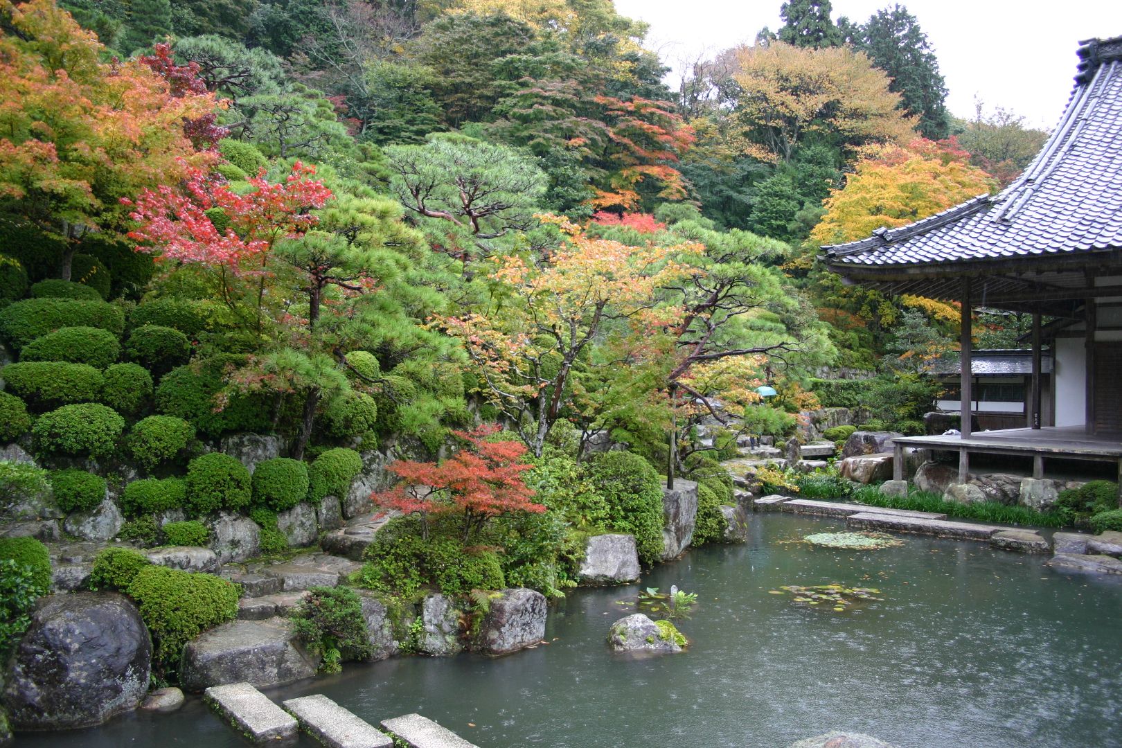 Fall leaves at Hyakusai-ji