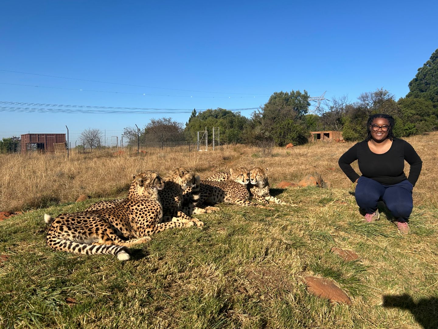 Joi wearing a black shirt kneeling next to several cheetahs