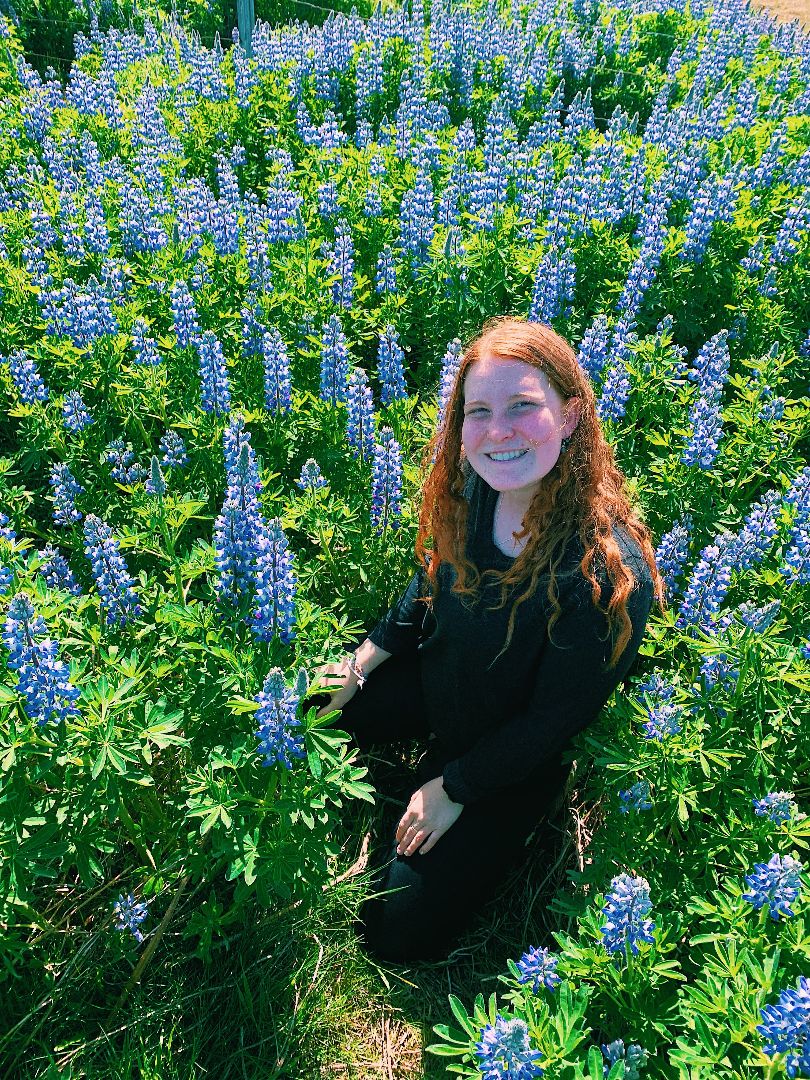 Tiffany among purple flowers in Iceland