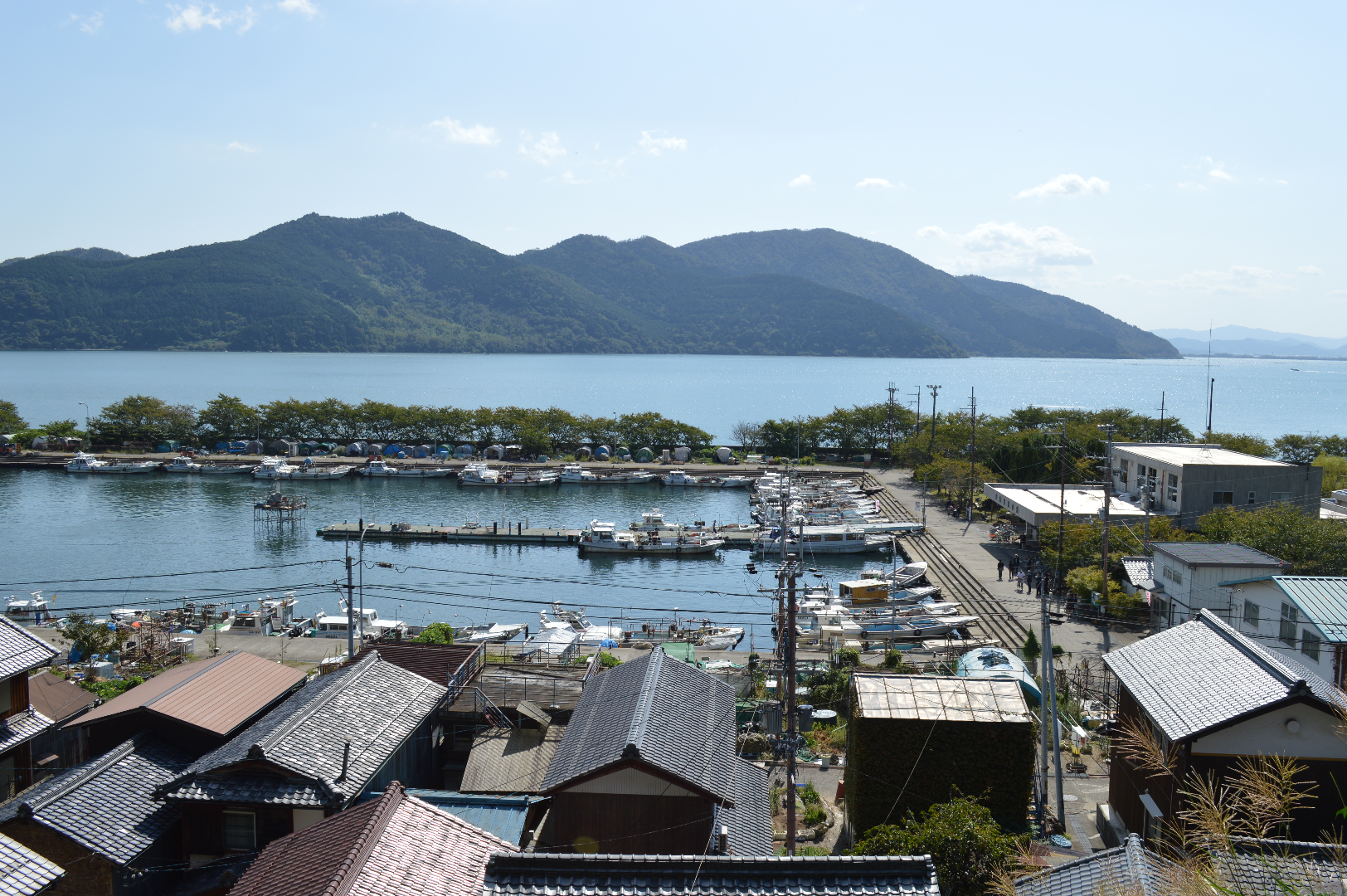 a birds' eye view of buildings and trees on a port on a small island