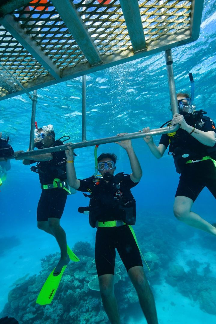 MSU students scuba diving in Great Barrier Reef