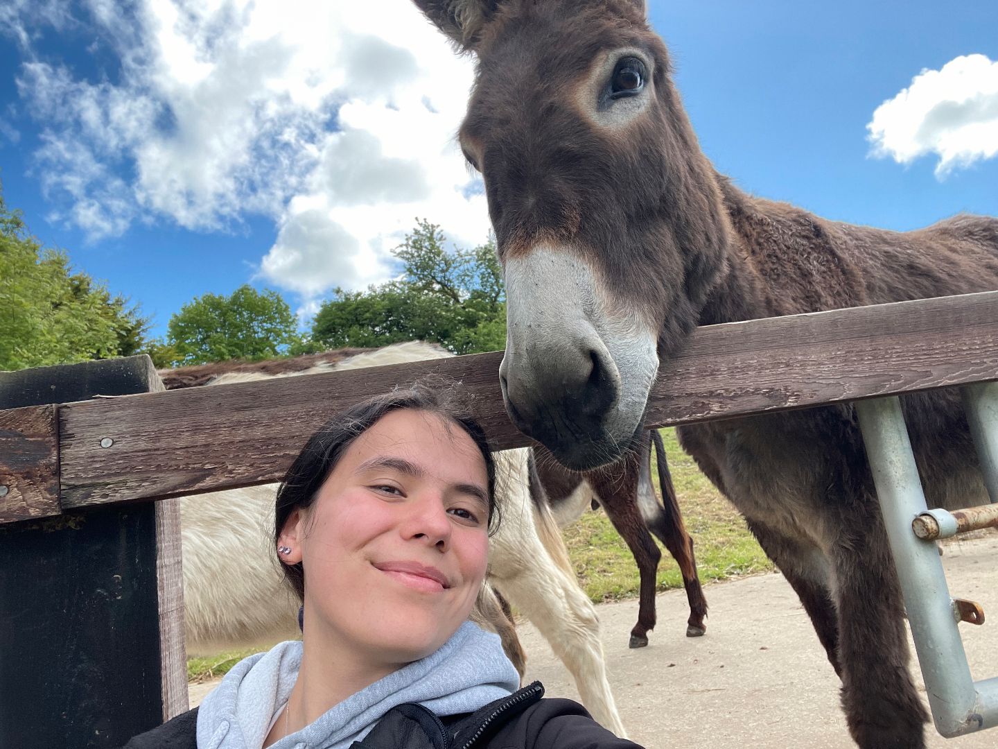 Kayleen taking a selfie with a donkey in Ireland