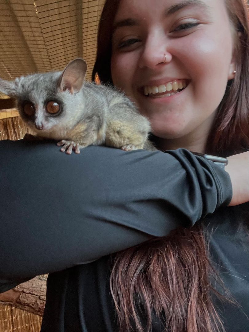 Kendall holding a galago (bush baby) on her arm