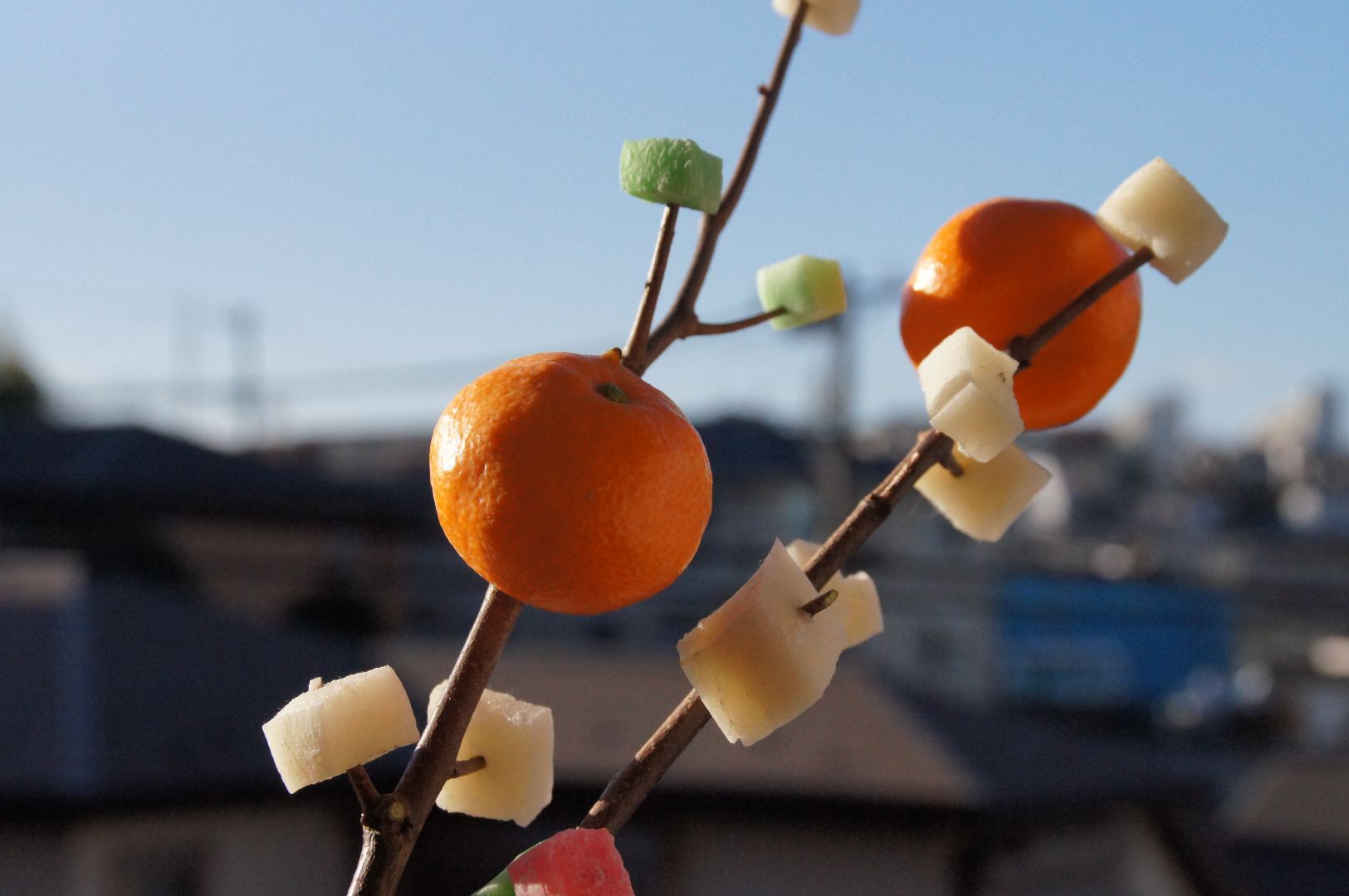 chunks of mochi and two citrus fruits on sticks