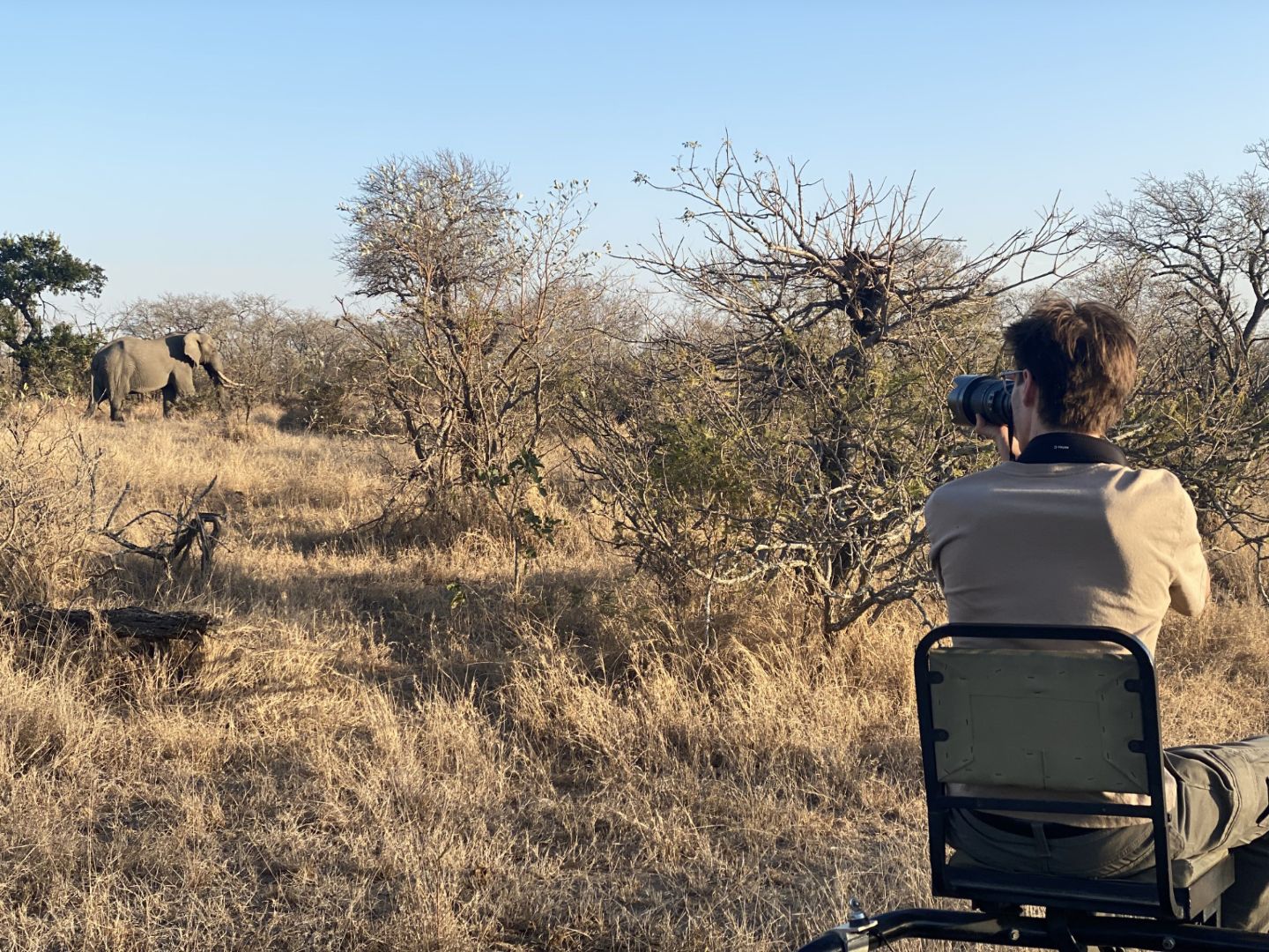 Adam taking a photo of an elephant from the top of a Jeep