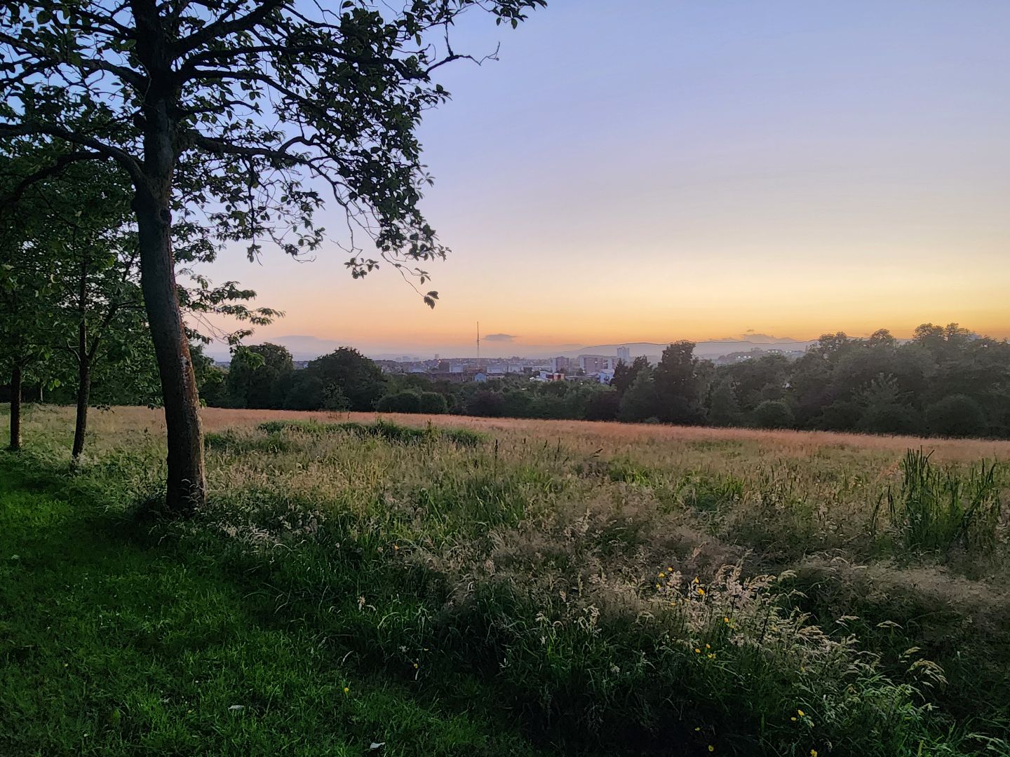 Foggy view of Glasgow from a field