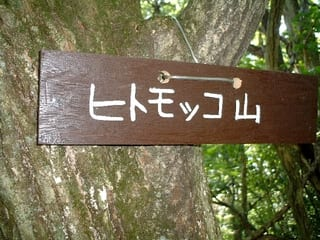 a wooden sign with hand painted Japanese writing on a tree