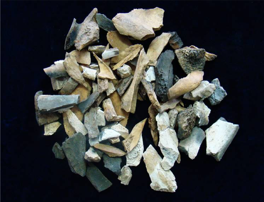 bone fragments classic